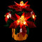 Light Kit For Poinsettia 10370 -Briksmax