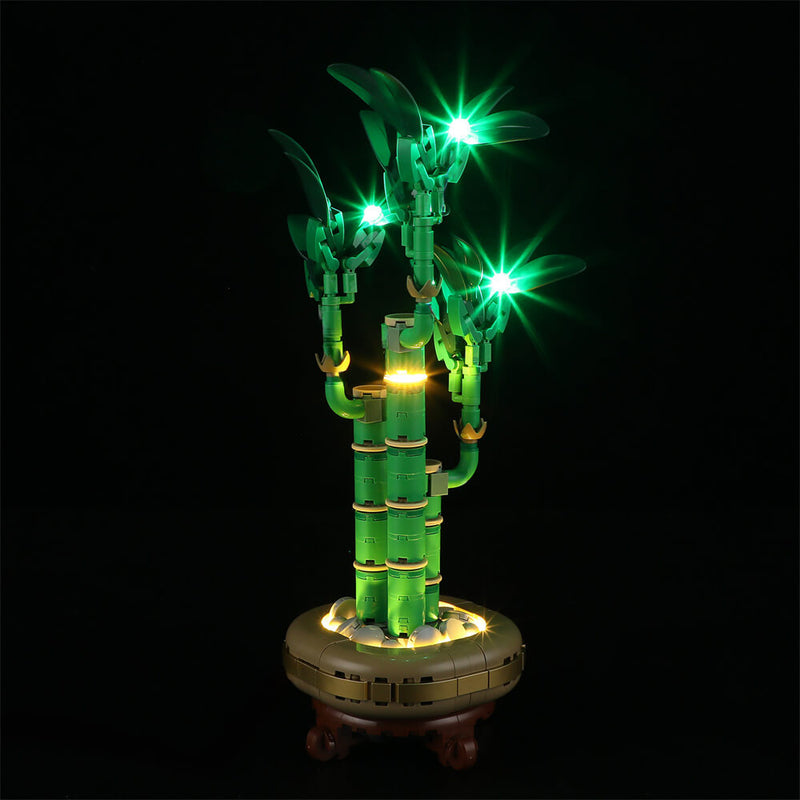 Light Kit For Lucky Bamboo 10344-Lightailing【Almost Sold Out】