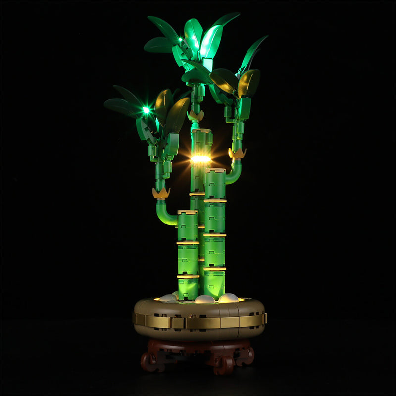 Light Kit For Lucky Bamboo 10344-Lightailing【Almost Sold Out】