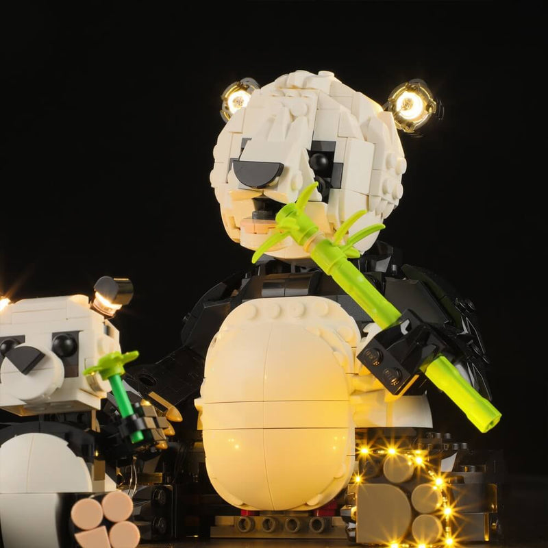 Light Kit For Wild Animals: Panda Family ＃31165—Lightailing