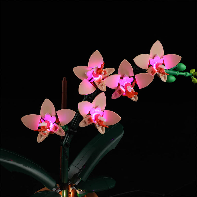 Light Kit For Mini Orchid 10343-Lightailing