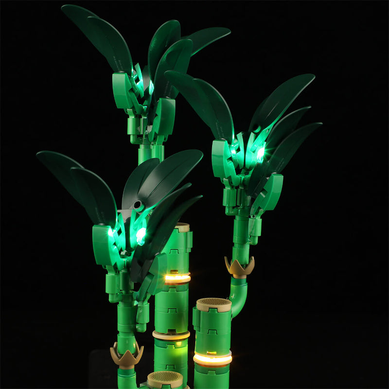 Light Kit For Lucky Bamboo 10344-Briksmax