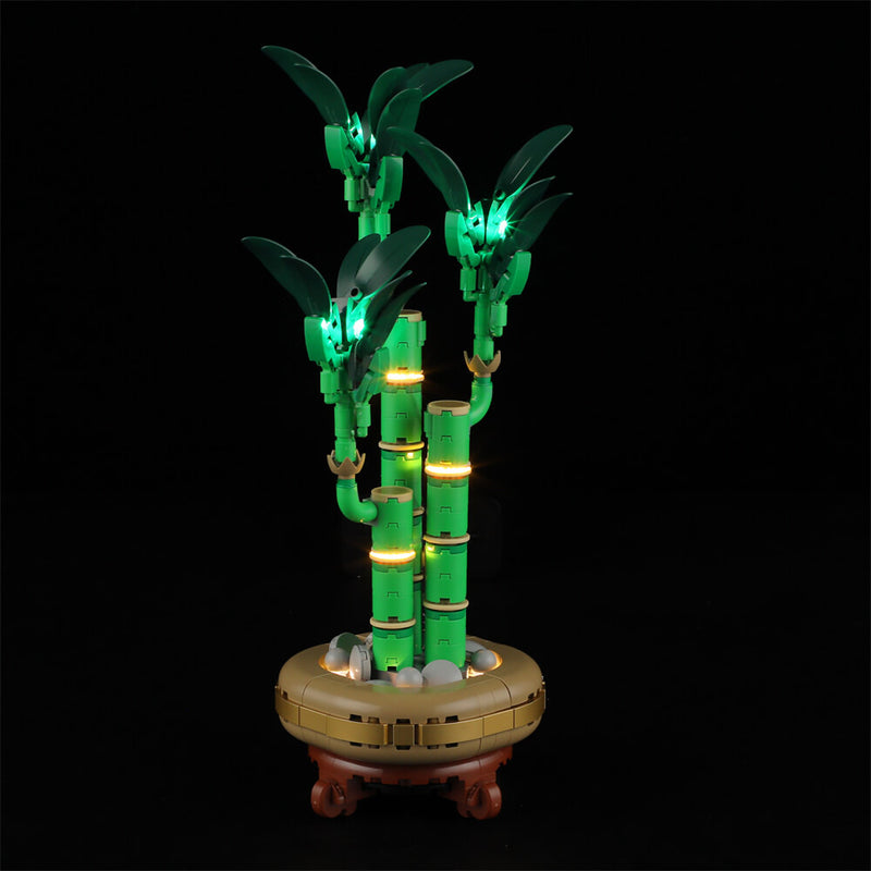 Light Kit For Lucky Bamboo 10344-Briksmax