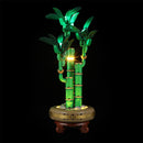 Light Kit For Lucky Bamboo 10344-Lightailing