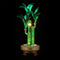 Light Kit For Lucky Bamboo 10344-Lightailing