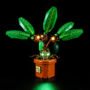 Light Kit For Mandrake 76433-Lightailing