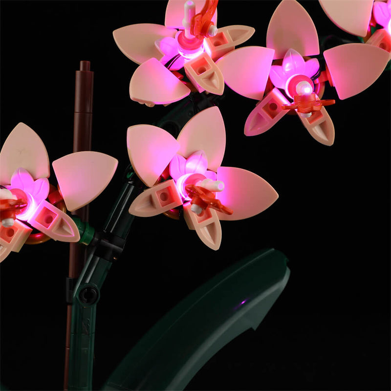 Light Kit For Mini Orchid 10343-Lightailing