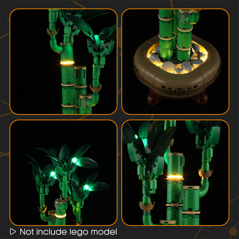 Light Kit For Lucky Bamboo 10344-Lightailing