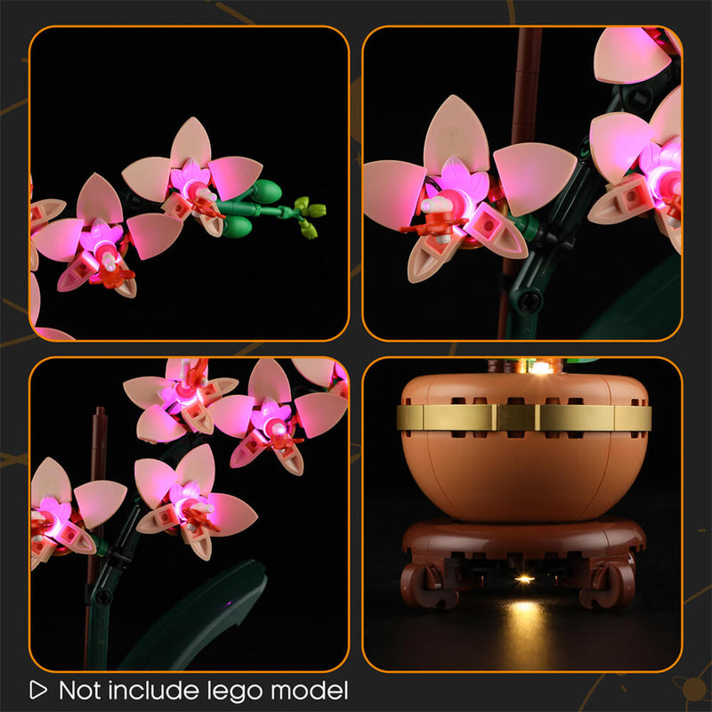 Light Kit For Mini Orchid 10343-Lightailing