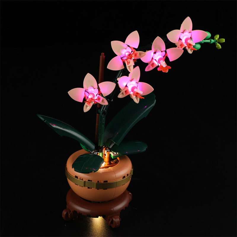 Light Kit For Mini Orchid 10343-Lightailing