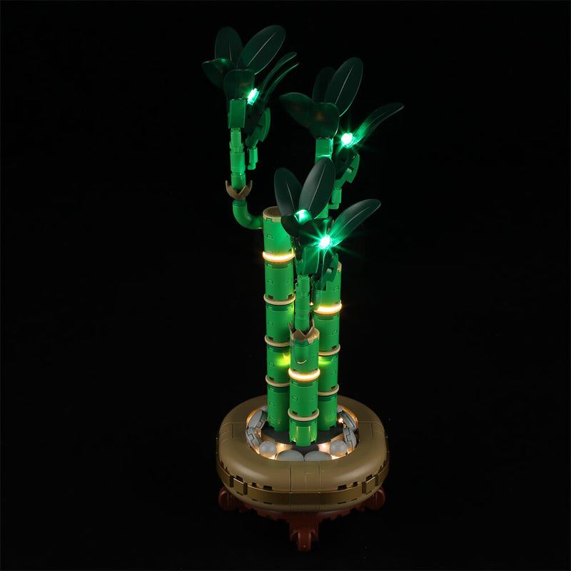 Light Kit For Lucky Bamboo 10344-Briksmax