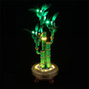 Light Kit For Lucky Bamboo 10344-Lightailing【Almost Sold Out】