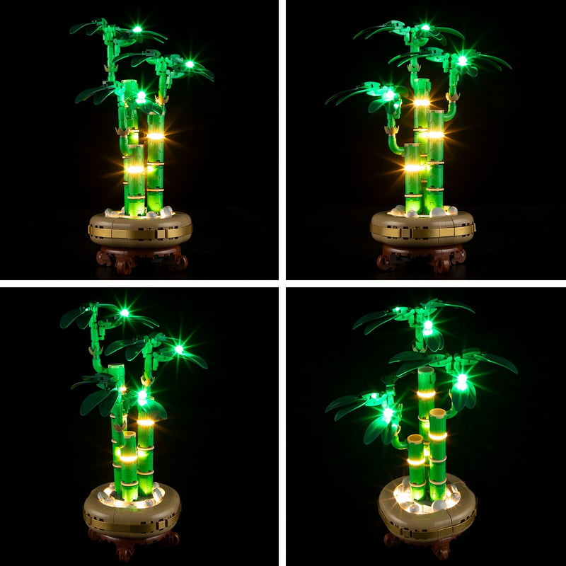 Light Kit For Lucky Bamboo 10344-Briksmax