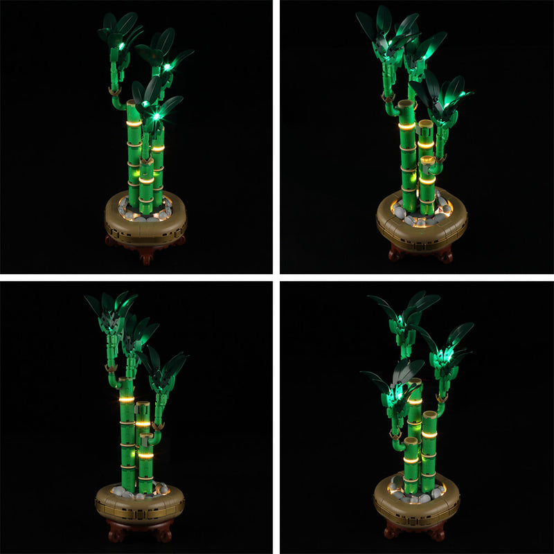 Light Kit For Lucky Bamboo 10344-Briksmax