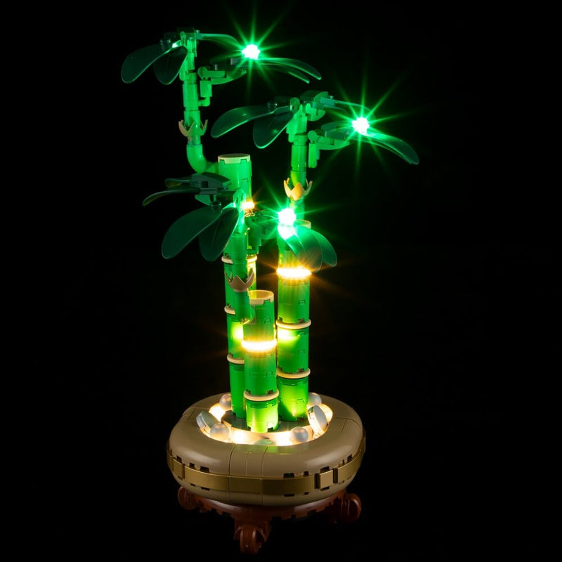 Light Kit For Lucky Bamboo 10344-Briksmax