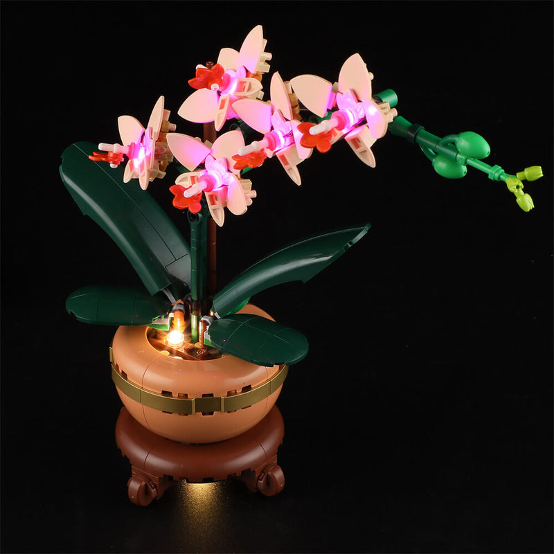 Light Kit For Mini Orchid 10343-Lightailing