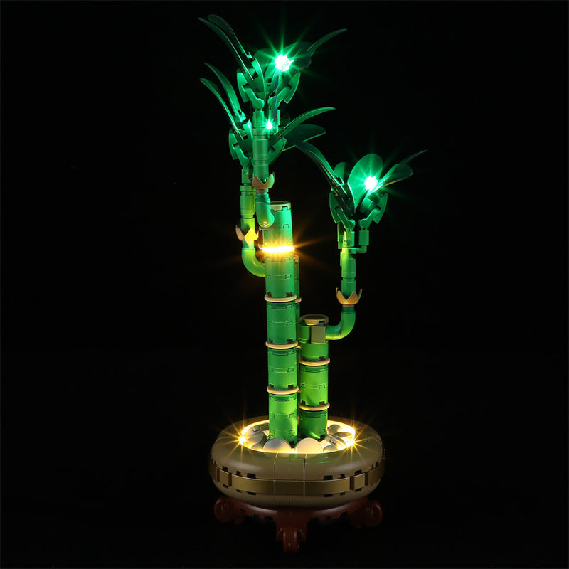 Light Kit For Lucky Bamboo 10344-Lightailing