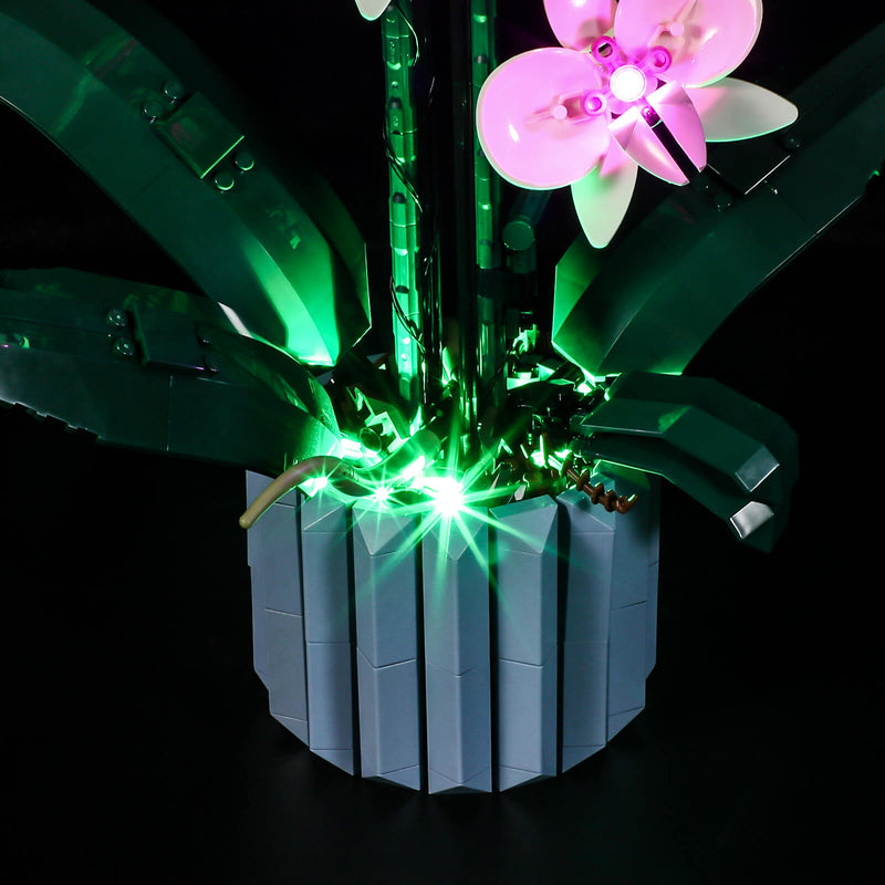 Light Kit For Orchid 10311 With Unique Night Mode – Lightailing